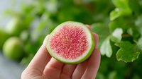 Fresh ripe fig cut in half showing pink flesh and seeds held in hands against green foliage background for healthy eating and organic fruit concepts.