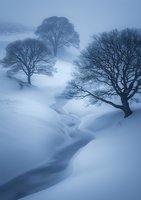 Misty winter landscape with snow-covered ground and bare trees along winding frozen stream creating moody atmospheric scene in cool blue tones.