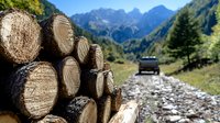 Stacked wood logs in mountain landscape with off-road vehicle on rocky path and majestic peaks in background. Alpine forest scenery on sunny day.
