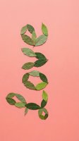 Green leaves arranged to spell love word on coral pink background for eco-friendly romantic design projects and sustainable lifestyle concepts.
