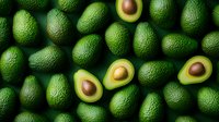 Fresh ripe whole and halved avocados arranged in rows showing creamy flesh with pits, green textured skin creating natural pattern on dark background.