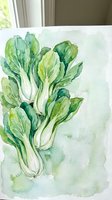 Watercolor painting of fresh bok choy vegetables with green leaves and white stems on textured paper for culinary art and healthy food illustrations.