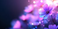 Dreamy cosmos flower in purple and blue tones against dark background with magical bokeh lights and glowing particles creating ethereal atmosphere.