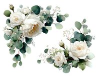 Elegant white peony flowers with eucalyptus leaves arranged in decorative corners for wedding invitations, greeting cards, and floral design projects.