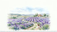 Watercolor lavender field landscape with rustic farmhouse, rolling hills, and cypress trees under a cloudy sky, soft purple blooms in rows.