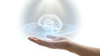 Human hand presenting holographic brain with digital interface rings floating above palm on clean white background for technology and AI concepts.
