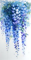 Cascading wisteria flowers in shades of blue and purple with green foliage against white background, watercolor style botanical art for wall decor and textile design.