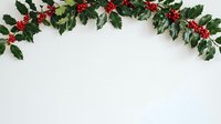 Festive holly garland with vibrant red berries and green leaves arranged on white background, ideal for holiday greeting cards, seasonal marketing materials, and Christmas design projects.