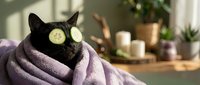 Black cat with cucumber slices on eyes relaxing in spa setting with purple towel. Pet wellness and self-care concept for grooming and relaxation themes.