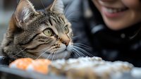 Curious tabby cat looking at food on table while young Asian woman smiles in background, showing pet-human bond and mealtime anticipation in domestic setting.
