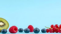 Fresh mixed berries and kiwi slice arranged in row on light blue background with copy space for healthy eating and nutrition concepts.
