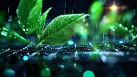 Fresh green leaves with water droplets in rain, creating reflections on dark surface. Natural macro photography with bokeh effect.