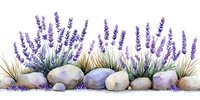 Watercolor lavender flowers and stones border arrangement on white background, botanical garden composition with rocks and grass, isolated design element.