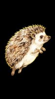 Adorable hedgehog with decorative spines isolated on transparent background, ready for t-shirts, stickers, clipart, and print-on-demand designs.