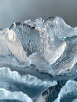 Delicate ice crystal formations create intricate natural patterns with translucent layers and veined textures in cool blue tones, capturing winter's ethereal beauty.