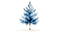 Watercolor blue pine tree with delicate branches on minimal background, creating serene winter atmosphere for holiday designs and seasonal projects.