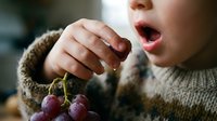 Young child with medium skin tone holding red grapes with open mouth expression, wearing knit sweater. Suitable for food, nutrition, healthy eating, and childhood lifestyle content.
