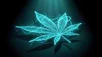 Digital cannabis leaf with glowing cyan wireframe network connections on dark background for technology and medical research concepts.