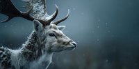 Majestic reindeer with antlers in snowy winter landscape, frost-covered fur creating magical holiday atmosphere for seasonal greeting cards and decorations.