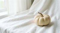 Small white pumpkin on soft white fabric near window with natural light for autumn seasonal decoration and harvest themed designs.