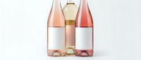 Three elegant wine bottles with rosé and white wine in minimalist packaging design on clean white background for premium beverage branding and marketing.