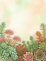 Watercolor succulent garden border with soft pink and green tones, featuring echeveria and sedum plants on a warm pastel background.