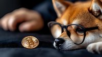 Curious Shiba Inu dog wearing glasses looking at golden bitcoin cryptocurrency coin on dark background, modern finance concept for digital money.