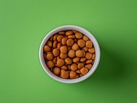 Dry pet food kibbles in white ceramic bowl on bright green background. Top view of round brown dog or cat food pellets, minimalist composition for pet care industry.