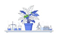 Laboratory plant research setup with potted specimen and scientific equipment for botanical studies and experiments.