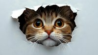 Curious tabby cat with amber eyes peeks through torn paper hole, creating playful breakthrough effect for pet-related designs.
