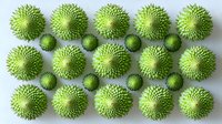 Green spiky balls arranged in geometric pattern on white background, natural organic shapes creating modern minimalist composition. Isolated design element.