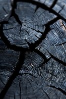 Charred wood cross-section with deep cracks revealing annual growth rings in dark tones, creating natural texture for rustic design backgrounds.