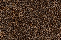 Freshly roasted coffee beans creating natural brown background pattern with rich texture and aroma, suitable for cafe and restaurant design materials.