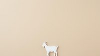 White goat standing in profile against neutral beige background, suitable for agricultural, farm, and livestock-related projects.