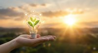 Hand holding glowing light bulb with green plant inside at sunset representing eco-friendly innovation and sustainable energy solutions for environmental protection.