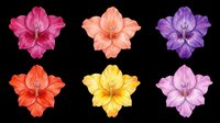 Six colorful gladiolus flowers in pink, peach, purple, red, yellow, and lilac, isolated on transparent background, ready for stickers, t-shirt design, and print on demand.