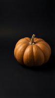 Orange pumpkin with natural stem on dark background for autumn harvest, Halloween decoration, thanksgiving celebration and seasonal cooking projects.