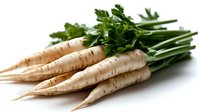 Fresh parsnips with green leafy tops isolated on white background, ready for culinary design, recipes, and food packaging projects.