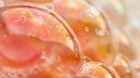 Fresh ripe tomato slices with water droplets and golden oil creating glossy surface texture for culinary and food photography applications.