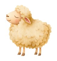 Cute watercolor sheep with fluffy wool and peaceful expression isolated on white background for children's books, nursery decor and farm animal designs.