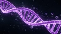 Purple DNA double helix structure with molecular bubbles on dark background for genetic research, biotechnology and medical science applications.