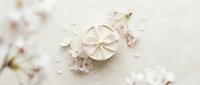 White gift box with ribbon surrounded by delicate pink cherry blossom petals on soft beige background for spring celebrations and special occasions.