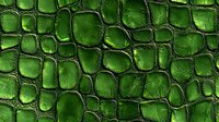 Emerald green crocodile skin texture with irregular scales and dark grooves creating natural reptilian pattern. Seamless design for fashion and luxury goods backgrounds.