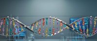 Colorful DNA double helix structure with vibrant colored segments representing genetic code, used for biotechnology, medical research, and science education backgrounds.