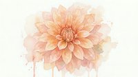 Watercolor dahlia flower in soft peach and pink tones with delicate petals on light background for botanical art and floral design projects.