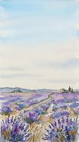 Watercolor painting of expansive lavender field with winding dirt path, distant farmhouses, and rolling hills under soft sky. Suitable for home decor, travel themes, and nature artwork.