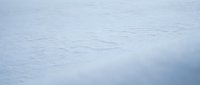 Pristine white snow surface with subtle texture and gentle shadows creating minimalist winter landscape for seasonal backgrounds and design projects.