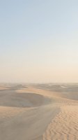 Endless golden sand dunes stretch across desert landscape under soft pastel sky creating serene minimalist natural background for travel content.
