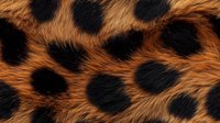 Macro view of natural leopard fur texture showing distinctive black rosettes on orange-brown background. Authentic animal print pattern for fashion and design.