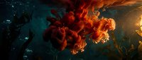Vivid red and orange ink cloud dissolving underwater among dark aquatic plants, creating a dramatic abstract explosion of color in deep teal water.